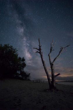 stars milky way shows against a night sky on the bay side of Assateague Maryland