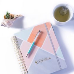 a cup of tea planner fancy pen and succulent inside a shell
