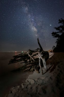 driftwood beach at night stars milky way