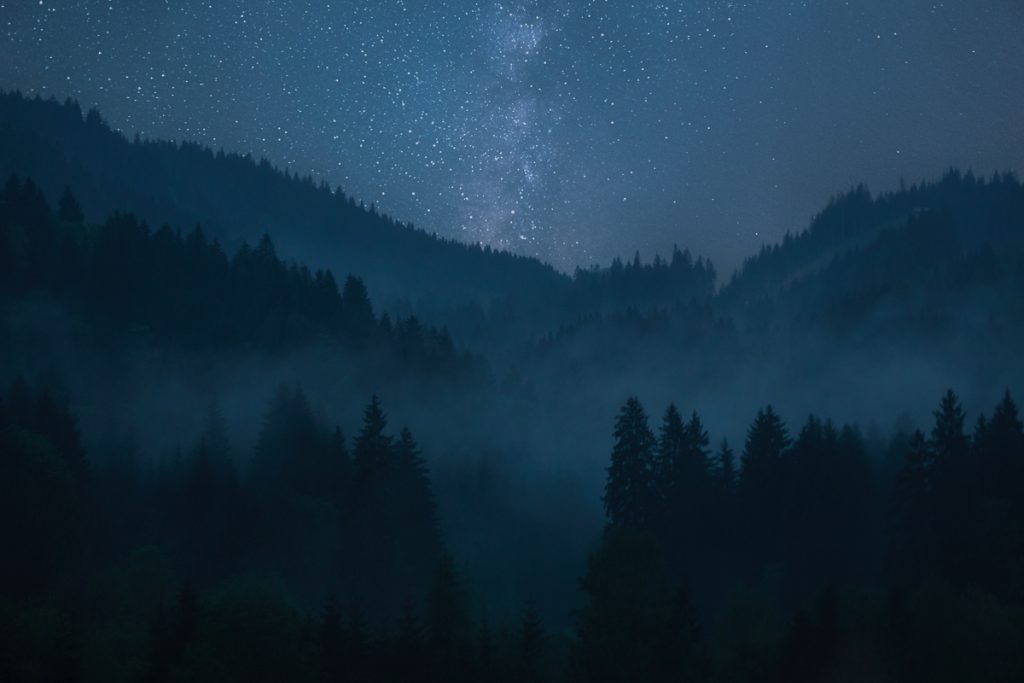 A forest in the mountains with fog at night with stars in the sky