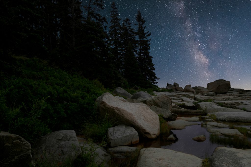 a rocky mountain with evergreen trees at night with stars in the sky